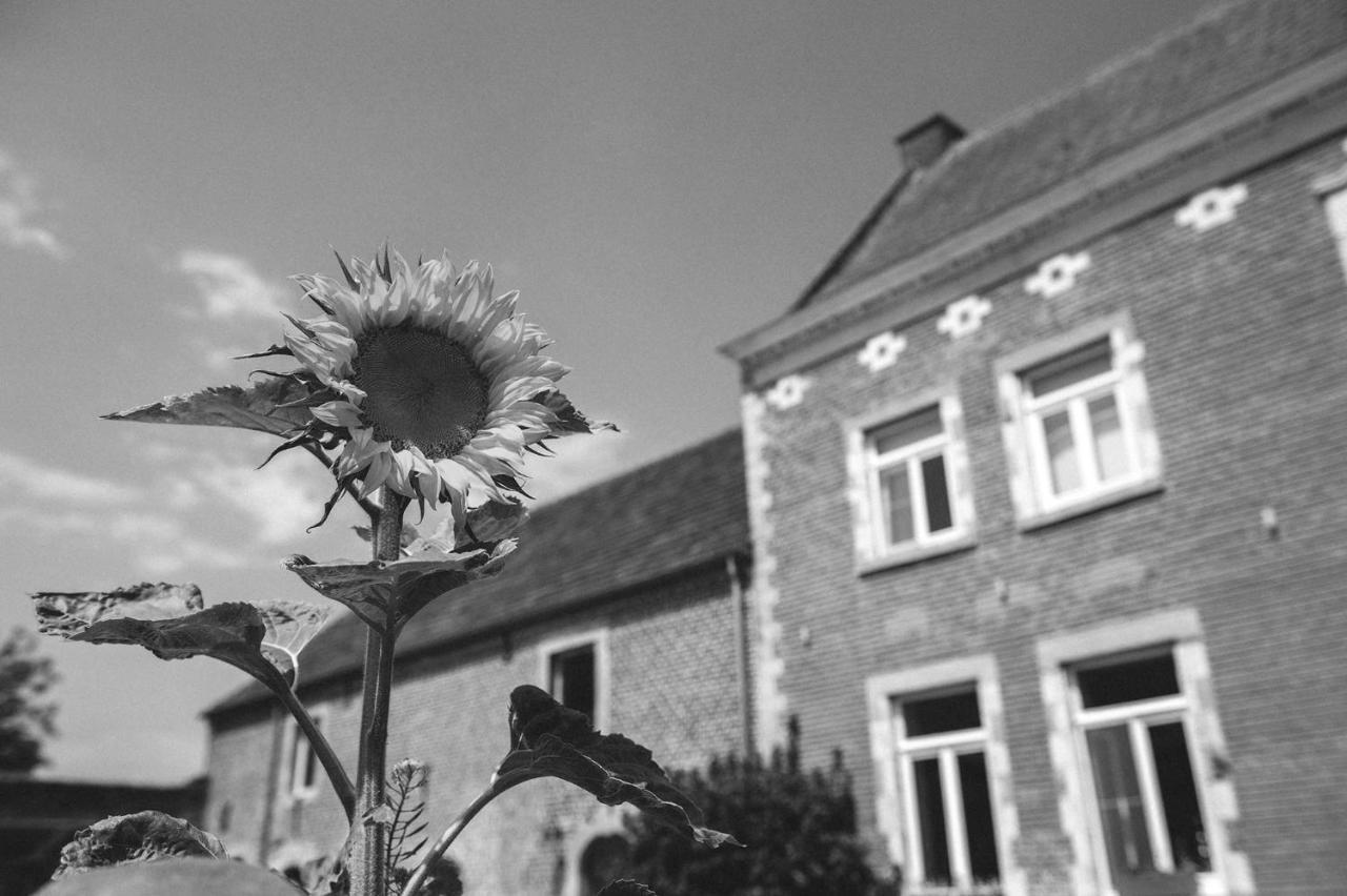 B&B L'Epicurie Hoegaarden Esterno foto